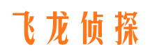 莲湖调查事务所